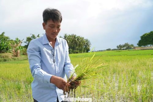 Nhiều hộ dân đứng trước nguy cơ mất trắng.