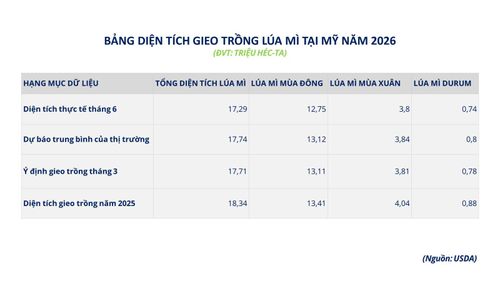 Bảng diện tích gieo trồng lúa mì tại Mỹ năm 2026.