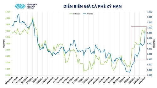 Diễn biến giá cà phê kỳ hạn.