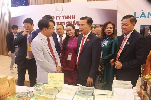 Trình bày định hướng phát triển mới cùng lãnh đạo tỉnh.
