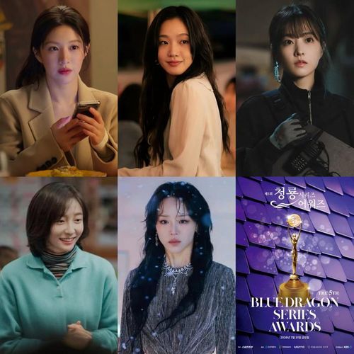 Đường đua Nữ diễn viên xuất sắc hứa hẹn gay cấn với Go Youn Jung, Kim Go Eun, Park Bo Young, Park Ji Hyun và Shin Hae Sun.