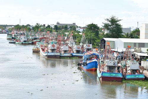 Tàu cá neo đậu trên sông Cái Bé. Ảnh: BẢO TRÂN