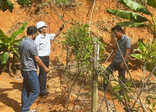 Xã Đông Giang hướng đến thu hút đầu tư vào lĩnh vực dược liệu. Ảnh: PHAN VINH