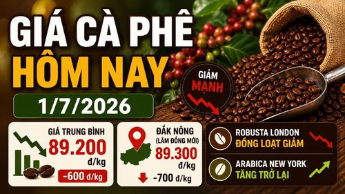 Hình minh họa