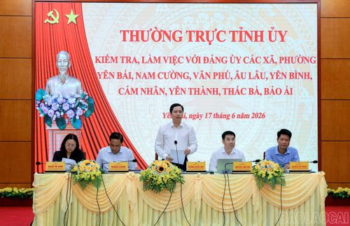 Thường trực Tỉnh ủy làm việc với Thường trực Đảng ủy 9 xã, phường khu vực Yên Bái - Yên Bình.