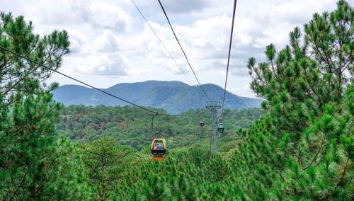 Chiêm ngưỡng khung cảnh hữu tình bằng cáp treo tại một khu du lịch nổi tiếng ở Đà Lạt.
