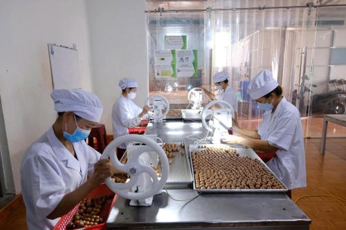Doanh nghiệp quyết định quay trở lại hoạt động, tăng 15,72%