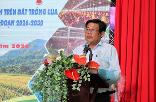 Phó Chủ tịch UBND tỉnh An Giang Ngô Công Thức phát biểu kết luận Hội nghị