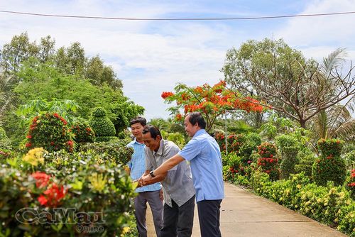  Người dân chung sức xây dựng diện mạo nông thôn mới, góp phần tạo nên những tuyến đường quê đáng sống. 