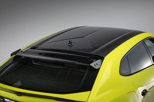 Tương tự các bản Performante khác, trần xe được làm hoàn toàn bằng sợi carbon, giúp mang đến vẻ ngoài thể thao, đồng thời giảm trọng lượng và hạ trọng tâm của chiếc xe.