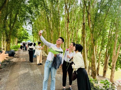 Các hoạt động trải nghiệm