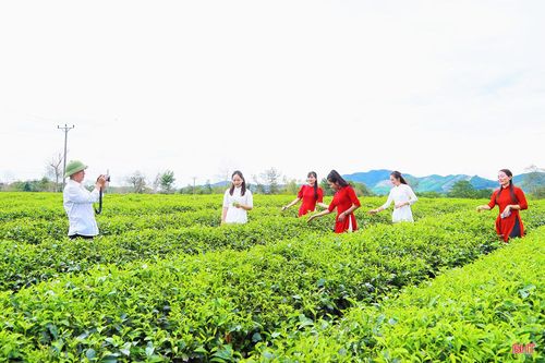 Giữa những luống chè xanh mướt, du khách có thể thoải mái tạo dáng, lưu giữ những khoảnh khắc đẹp giữa khung cảnh thiên nhiên.