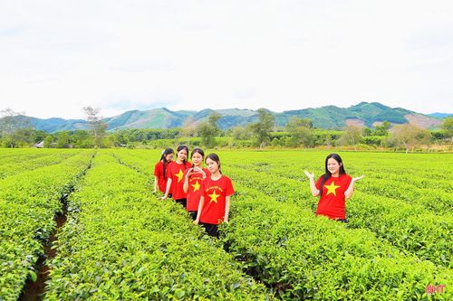 Những em nhỏ trong trang phục áo cờ đỏ sao vàng nổi bật giữa các luống chè xanh.