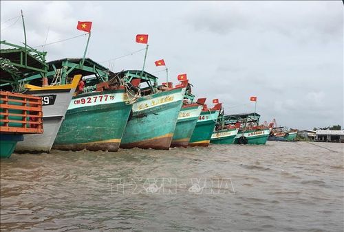 Cà Mau có đội tàu khai thác thủy hải sản lớn. Ảnh tư liệu: Thế Anh/TTXVN
