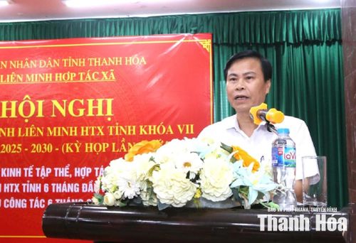 Chủ tịch Liên minh Hợp tác xã tỉnh Nguyễn Đình Tuấn phát biểu tại hội nghị.
