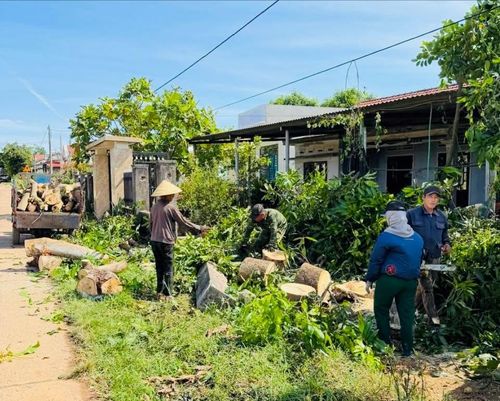 Người dân thôn Cổ Châu, xã Thu Bồn tự nguyện chặt cây, tháo dỡ công trình để bàn giao mặt bằng phục vụ dự án mở rộng tuyến đường giao thông. Ảnh: P.A