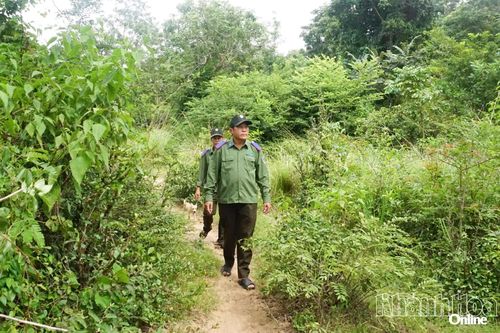Nhân viên của Ban Quản lý rừng phòng hộ Ninh Hòa - Vạn Ninh kiểm tra khu vực đất rừng căm xe ở xã Tây Ninh Hòa. 