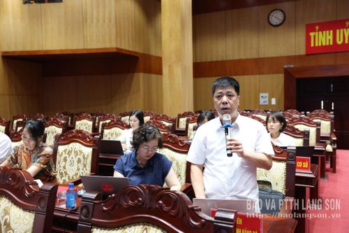 Lãnh đạo Tòa án nhân dân tỉnh phát biểu ý kiến tại hội nghị