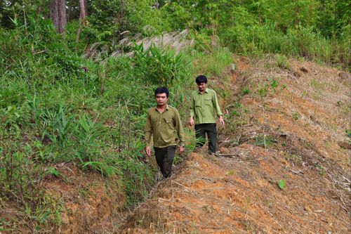 Đường ranh được đào phân định đất lâm nghiệp và đất canh tác nông nghiệp phát huy hiệu quả giữ rừng. Ảnh: Chính Thành