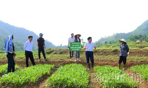 Những mô hình mới, cách làm hay đang mang đến những tín hiệu tích cực cho vùng đất khó.
