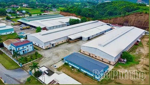 Một góc CCN Tân Phú - xã Tân Sơn.