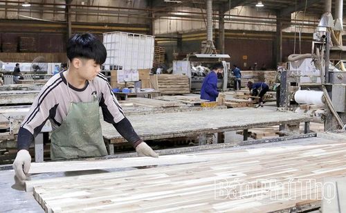 Sản xuất gỗ thanh xuất khẩu tại Công ty cổ phần Gemmy Tân Sơn (CCN Tân Phú).