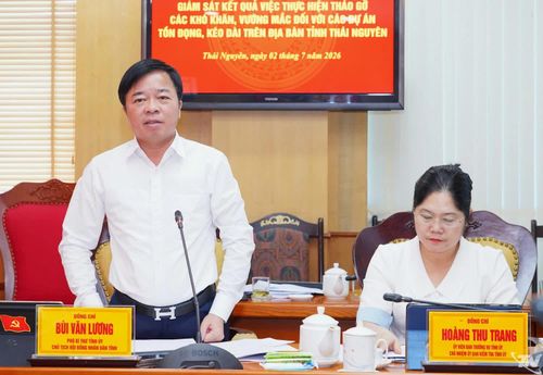 Đồng chí Bùi Văn Lương, Phó Bí thư Tỉnh ủy, Chủ tịch HĐND tỉnh phát biểu tại buổi làm việc.