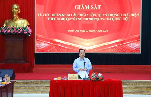 Phó Chủ tịch Thường trực HĐND thành phố Hà Nội Trần Thế Cương kết luận buổi giám sát