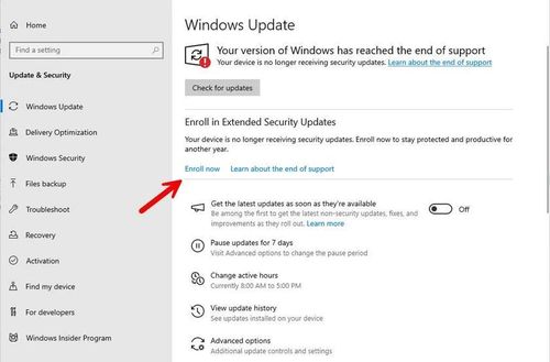 Trên thiết bị cá nhân chạy phiên bản Windows 10 mới nhất, bạn sẽ tìm thấy liên kết này để đăng ký nhận Bản cập nhật bảo mật mở rộng.