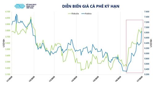 Diễn biến giá cà phê kỳ hạn. Nguồn: MXV