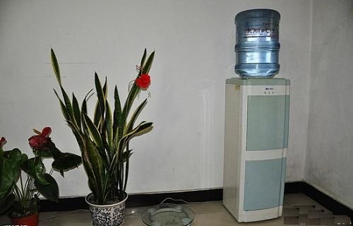 Đặt bình nước ở hướng Bắc là một cách để tăng cường năng lượng bản mệnh của cung này, theo nguyên tắc "Thủy hòa Thủy".