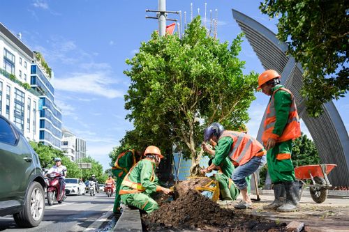 Không chỉ khu vực vòng xoay, dự án còn cải tạo cảnh quan dọc tuyến đường dẫn vào sân bay Tân Sơn Nhất. Hệ thống cây xanh, thảm cỏ, chiếu sáng và các hạng mục hạ tầng được hoàn thiện đồng bộ nhằm tạo diện mạo mới cho cửa ngõ thành phố.