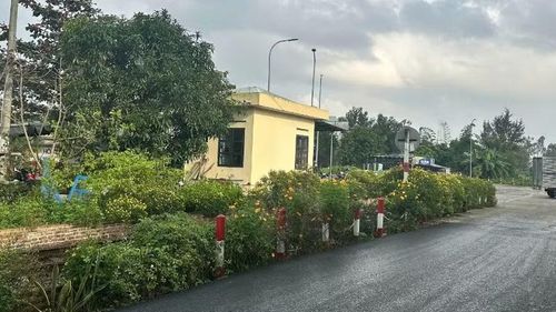 Cảnh quan ngày càng xanh, sạch, đẹp.