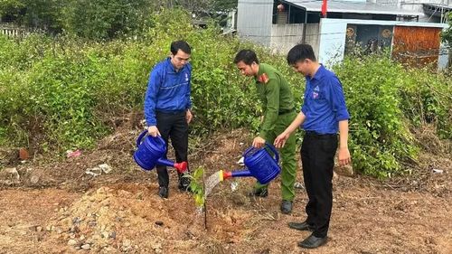 Các lực lượng trồng cây xanh tạo cảnh quan.