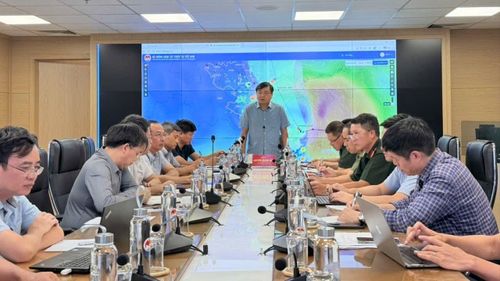 Thứ trưởng Bộ Nông nghiệp và Môi trường Nguyễn Hoàng Hiệp phát biểu triển khai nhiệm vụ ứng phó bão số 1. Ảnh: NGỌC HÀ