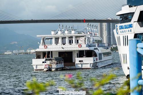 Tàu du lịch sau khi trả khách cũng quay đầu, rời khỏi cảng để đi trú bão.