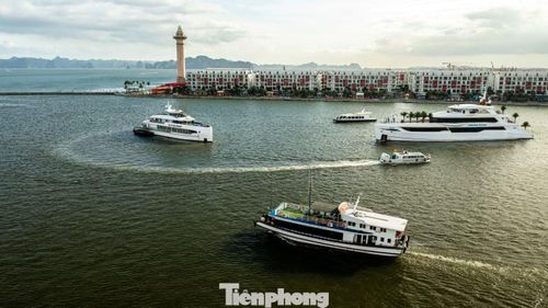 Đến cuối giờ chiều 3/7, tàu du lịch nối đuôi nhau trở về cảng để trả khách.