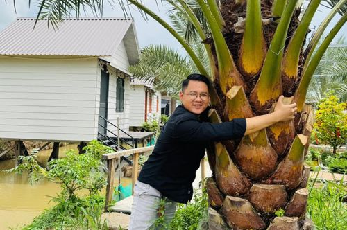 Anh Hòa - chủ nhân của vườn chà là ở Đồng Tháp