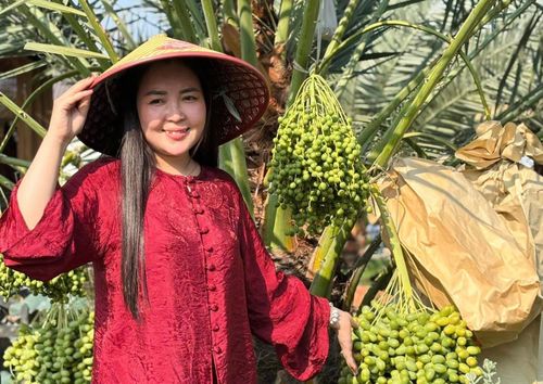Du khách tham quan, chụp ảnh trong vườn chà là của anh Hòa