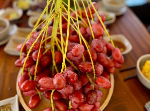 Chà là được thu hoạch khi chín tự nhiên trên cây nên có vị ngọt đậm, giòn và ít chát