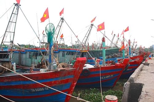 Tàu thuyền neo đậu tại Cảng cá Tân Sơn (xã Thái Thụy, Hưng Yên). Ảnh: Đinh Chiến