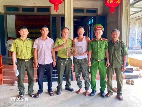 Công an xã Tuyên Phú phối hợp với Ủy ban nhân dân xã và Trạm Kiểm lâm Mai Hóa tiếp nhận 1 cá thể cu li (Nycticebus) nặng khoảng 1 kg do người dân giao nộp. (Ảnh: TTXVN phát)