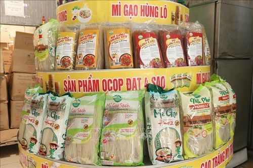 Gian hàng giới thiệu sản phẩm mỳ gạo Hùng Lô tự hào gắn biển chứng nhận OCOP 4 sao cấp tỉnh, giúp sản phẩm mở rộng kênh phân phối vào các siêu thị. Ảnh: Phương Thảo/TTXVN phát