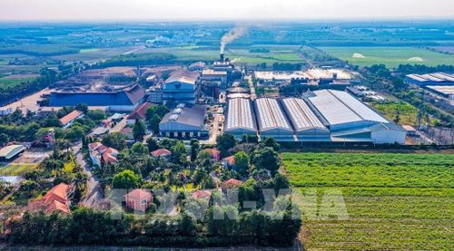 Chuyển đổi xanh với sự tham gia của Nhà nước - doanh nghiệp - người dân để tạo thế "kiềng 3 chân" vững chắc. Ảnh minh họa. Nguồn: TTXVN