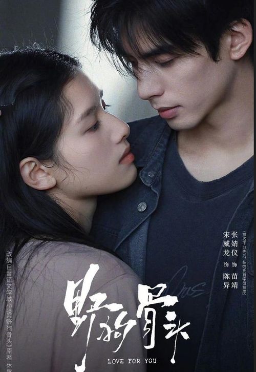 Chó Hoang Và Xương dự kiến sẽ được phát hành trên nền tảng Mango TV. Ảnh: Weibo