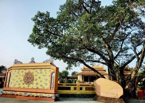 Cây đa Nhà thờ tiền hiền làng An Hải. Ảnh: HỒ XUÂN TỊNH