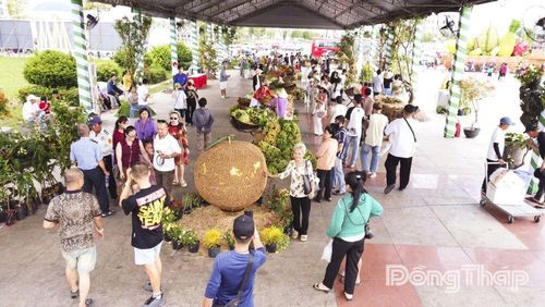 Không gian trưng bày đa dạng các loại trái cây tại Lễ hội Trái cây Đồng Tháp lần thứ I năm 2026.