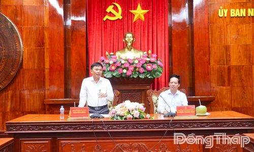 Phó Tổng Giám đốc Tổng Công ty Điện lực miền Nam Đào Hòa Bình phát biểu tại buổi làm việc.