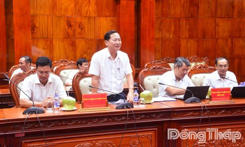 Lãnh đạo Công ty Điện lực Đồng Tháp phát biểu tại buổi làm việc.