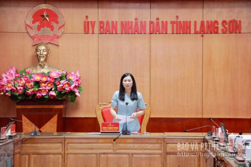 Đồng chí Trần Thanh Nhàn, Phó Chủ tịch UBND tỉnh phát biểu tại cuộc họp